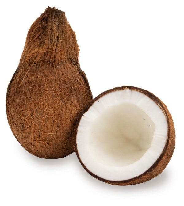 FRESH COCONUT